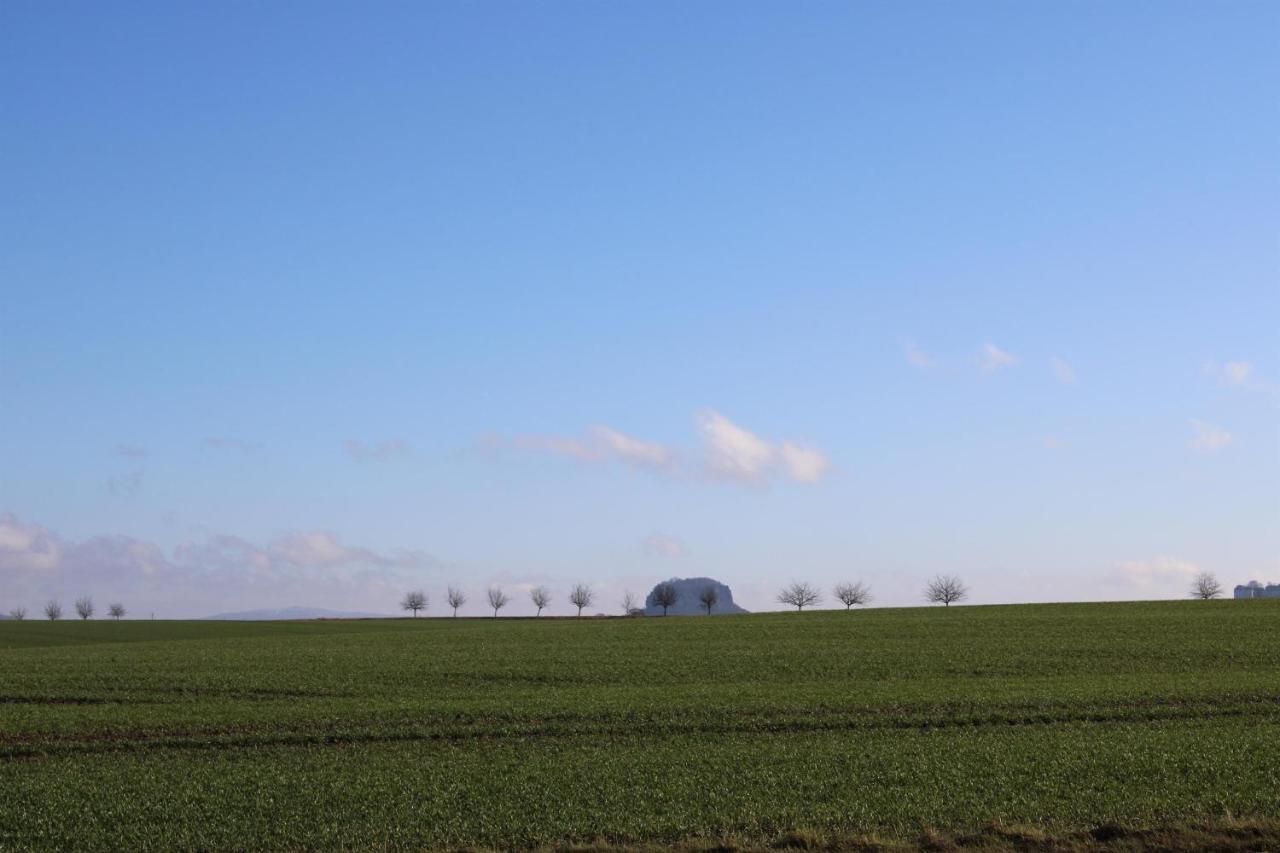 Ferienhof Wiesenblick بيرنا المظهر الخارجي الصورة
